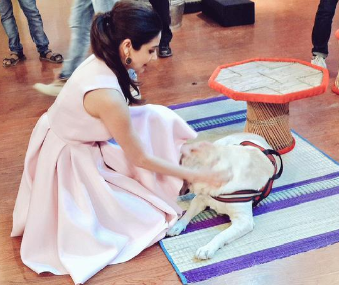 Anushka Sharma playing with a dog on the sets of 'Comedy Nights With Kapil'