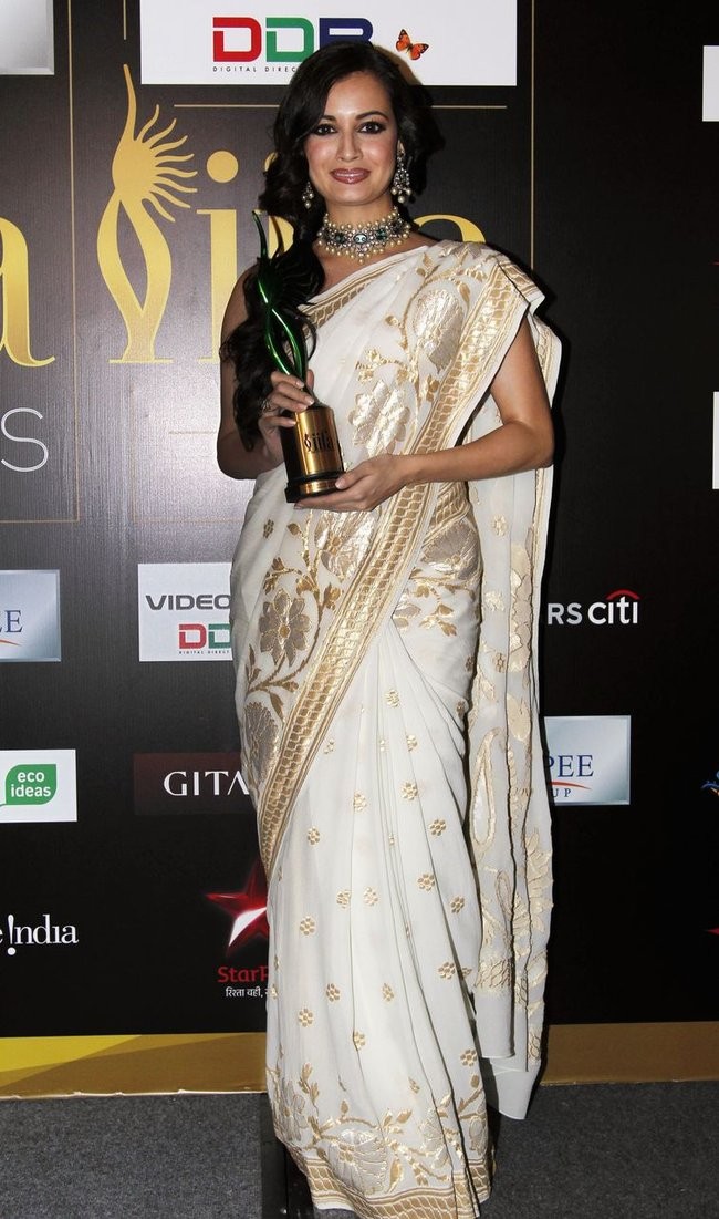 Dia Mirza at IIFA Awards