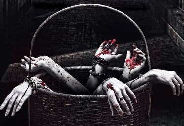 Flop - 1st Week Box Office Collection Of HORROR STORY
