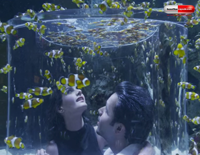 1st Weekend Box Office Collection Of Mr X