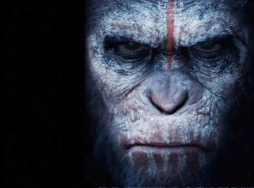 2nd Day Saturday Box Office Collection Of DAWN OF THE PLANET OF THE APES