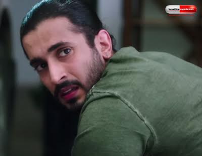 2nd Week Wednesday Box Office Collection Of PYAAR KA PUNCHNAMA 2