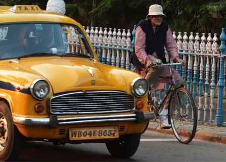 3rd Week Friday Box Office Collection Of PIKU
