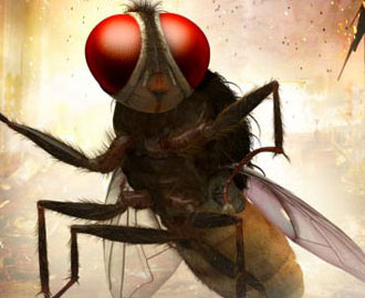 Trailer of EEGA Tamil Film